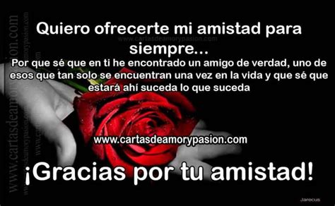 pasion amistad|Pasion Amistad